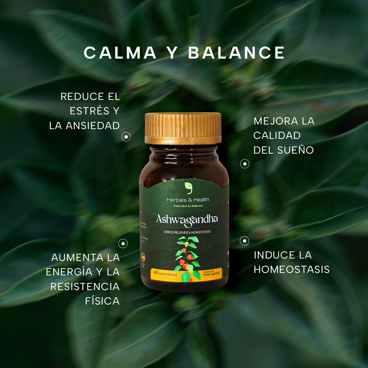 Ashwagandha Herbals